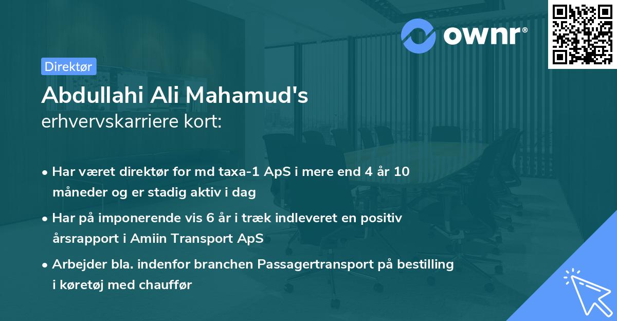 Abdullahi Ali Mahamud's erhvervskarriere kort