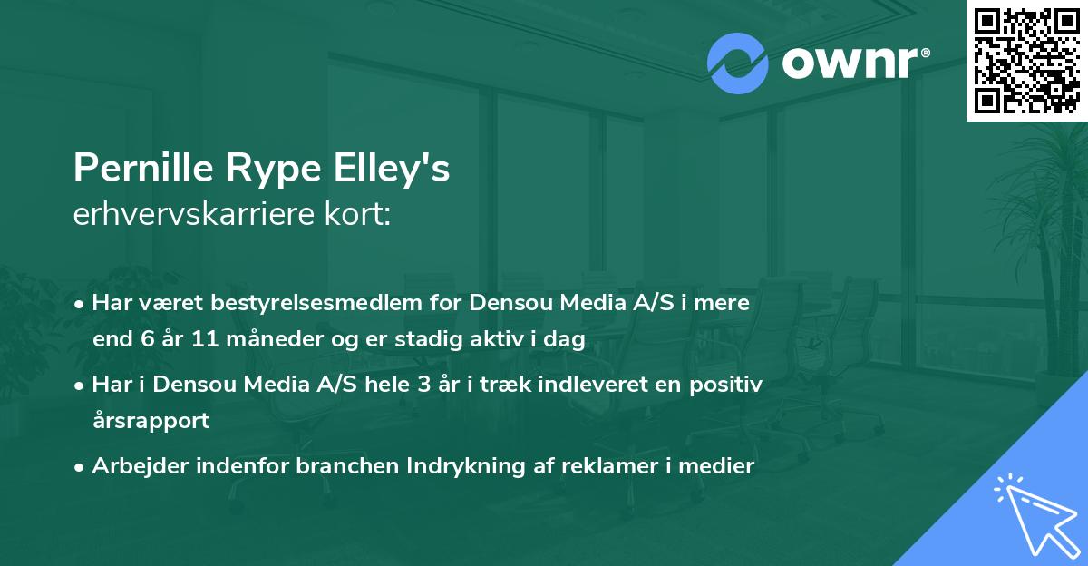 Pernille Rype Elley's erhvervskarriere kort