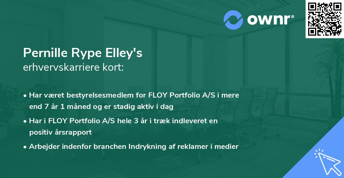 Pernille Rype Elley's erhvervskarriere kort