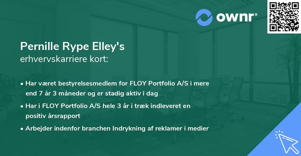 Pernille Rype Elley's erhvervskarriere kort