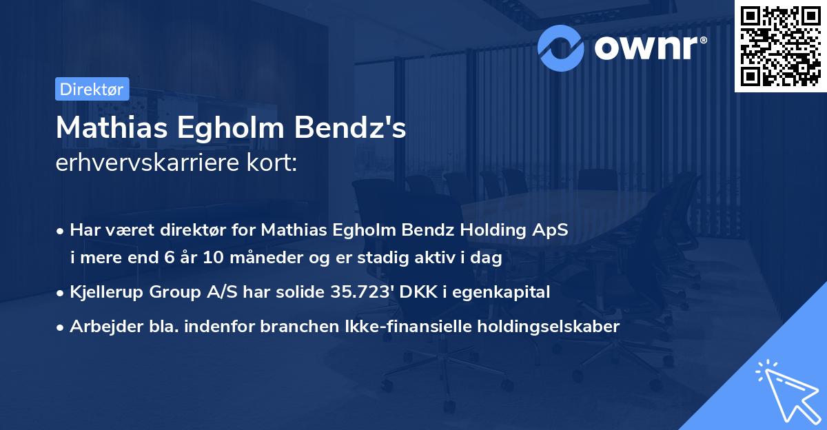 Mathias Egholm Bendz's erhvervskarriere kort