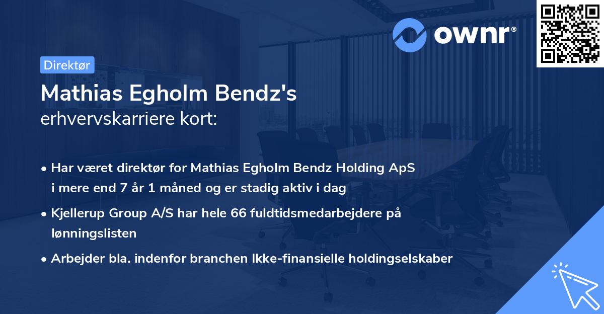 Mathias Egholm Bendz's erhvervskarriere kort