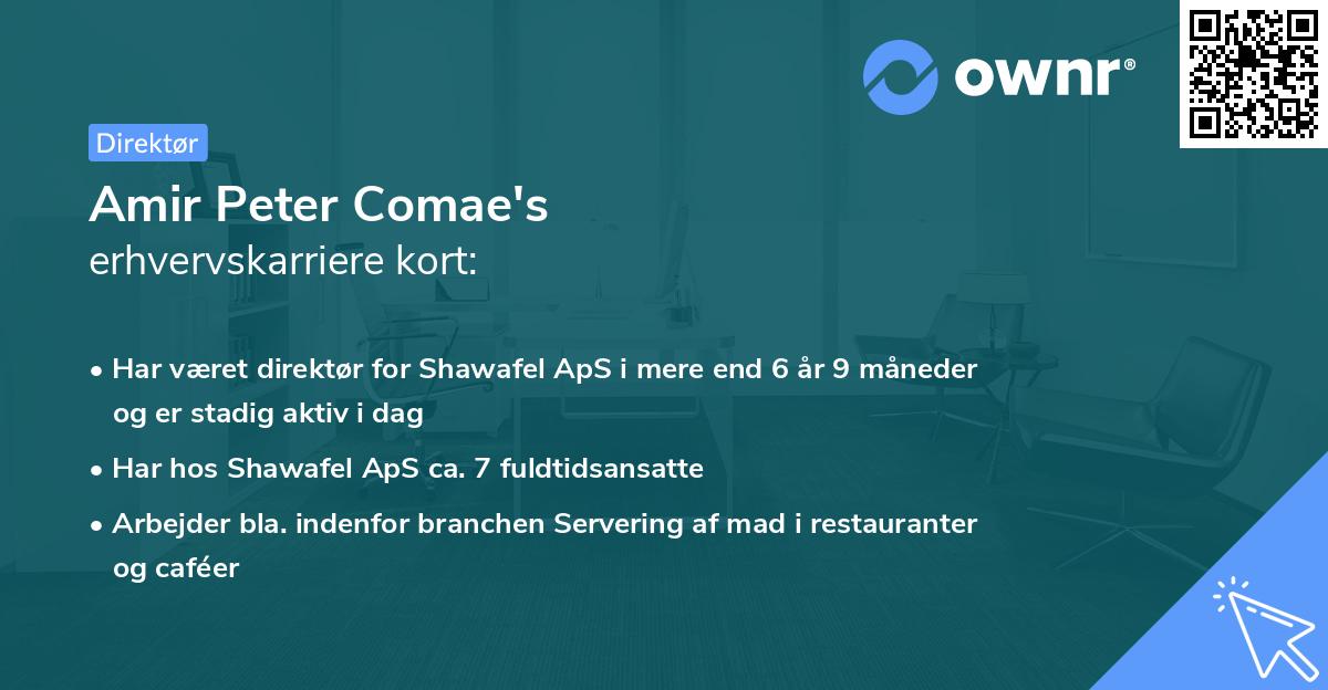 Amir Peter Comae's erhvervskarriere kort
