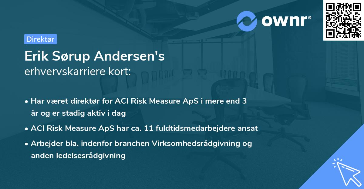 Erik Sørup Andersen's erhvervskarriere kort