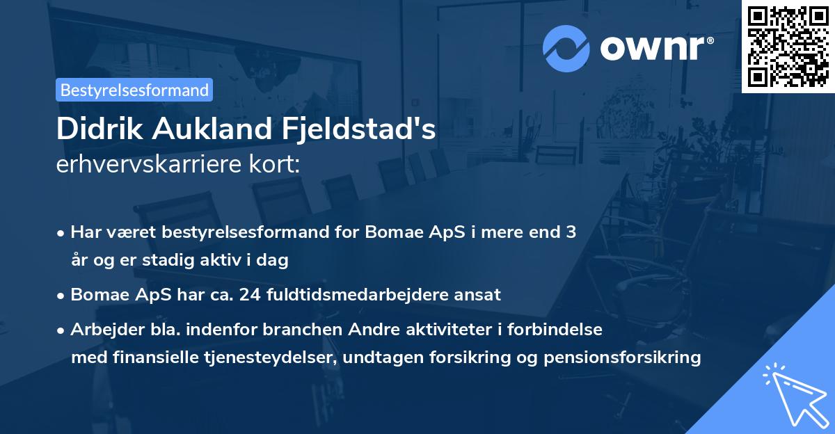 Didrik Aukland Fjeldstad's erhvervskarriere kort