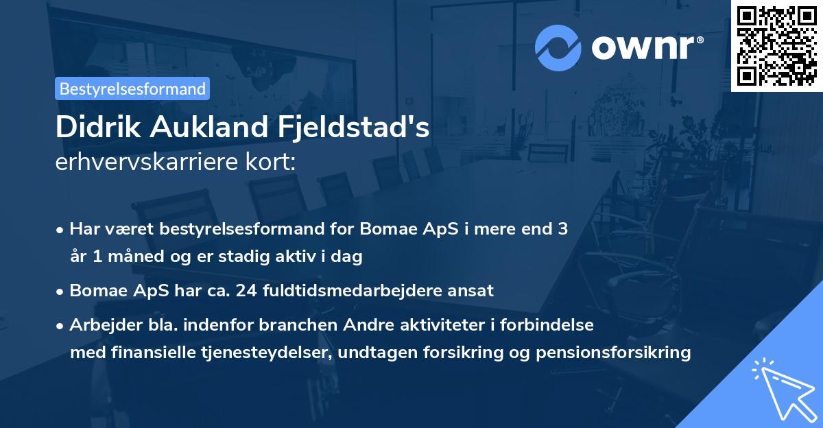 Didrik Aukland Fjeldstad's erhvervskarriere kort