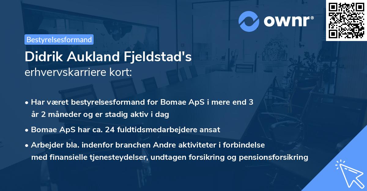 Didrik Aukland Fjeldstad's erhvervskarriere kort