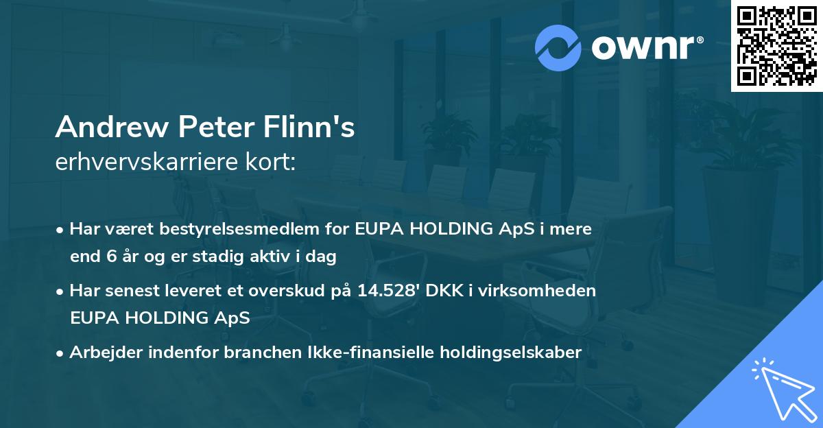 Andrew Peter Flinn's erhvervskarriere kort