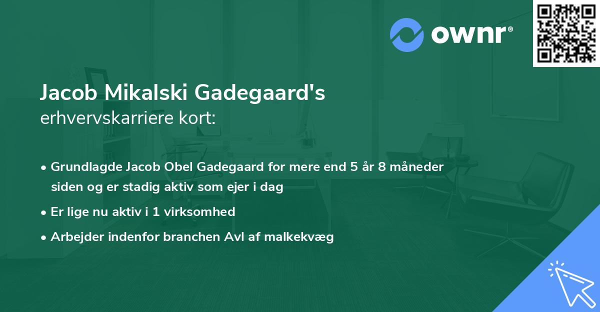 Jacob Mikalski Gadegaard's erhvervskarriere kort