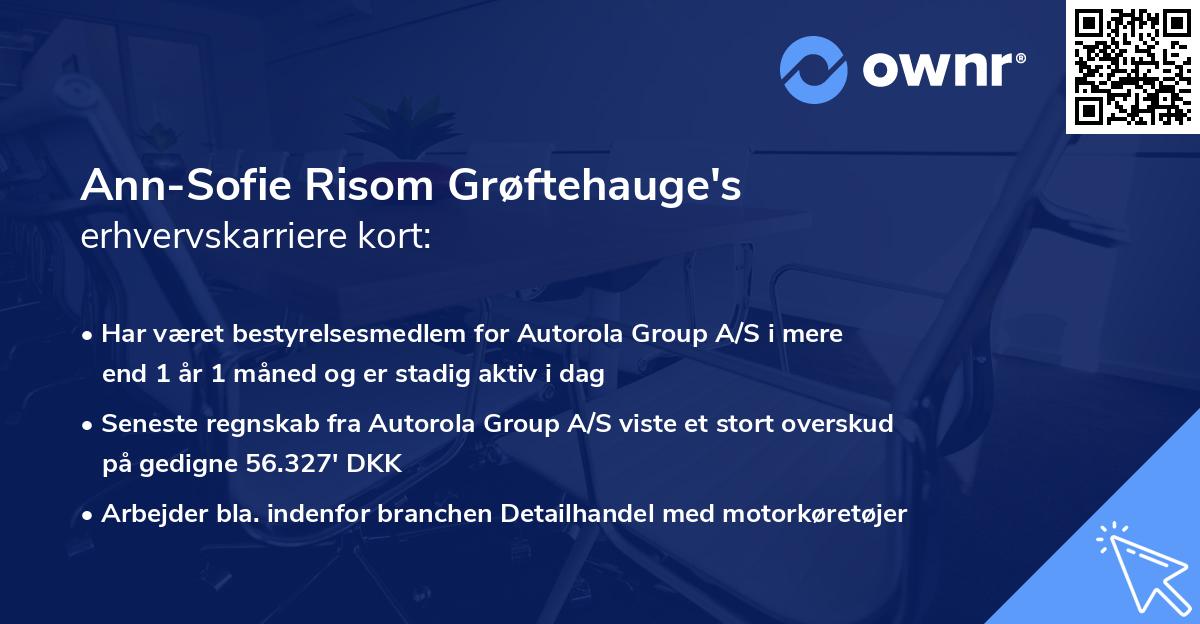 Ann-Sofie Risom Grøftehauge's erhvervskarriere kort