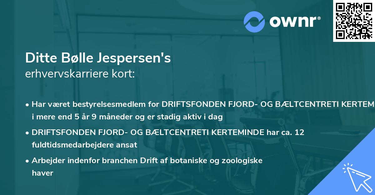 Ditte Bølle Jespersen's erhvervskarriere kort