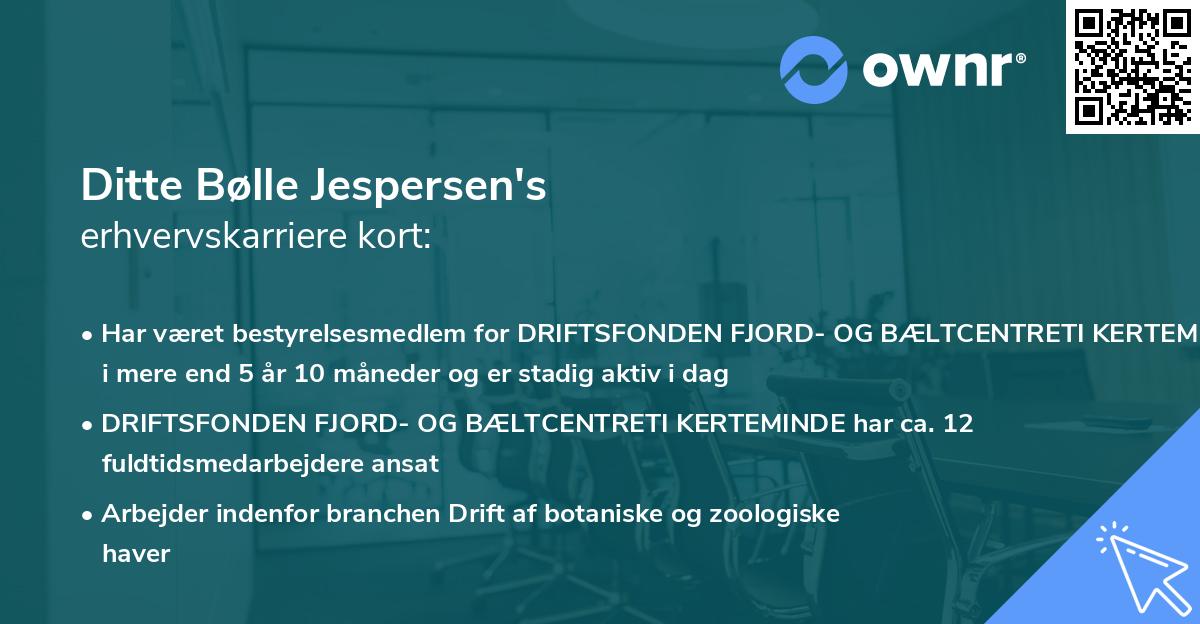 Ditte Bølle Jespersen's erhvervskarriere kort