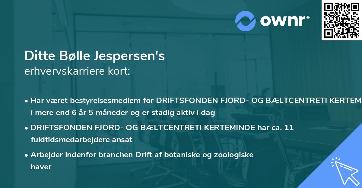 Ditte Bølle Jespersen's erhvervskarriere kort