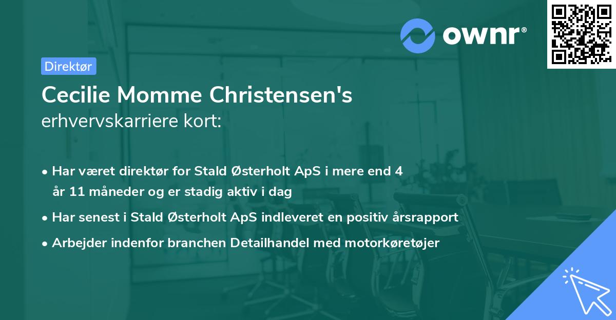 Cecilie Momme Christensen's erhvervskarriere kort