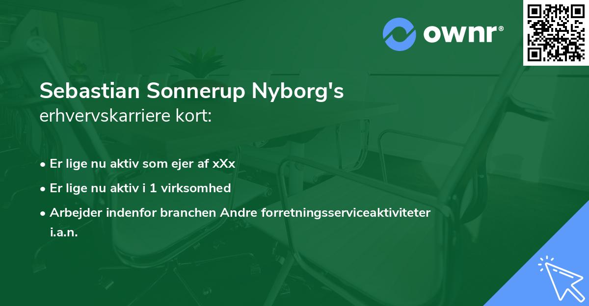 Sebastian Sonnerup Nyborg's erhvervskarriere kort