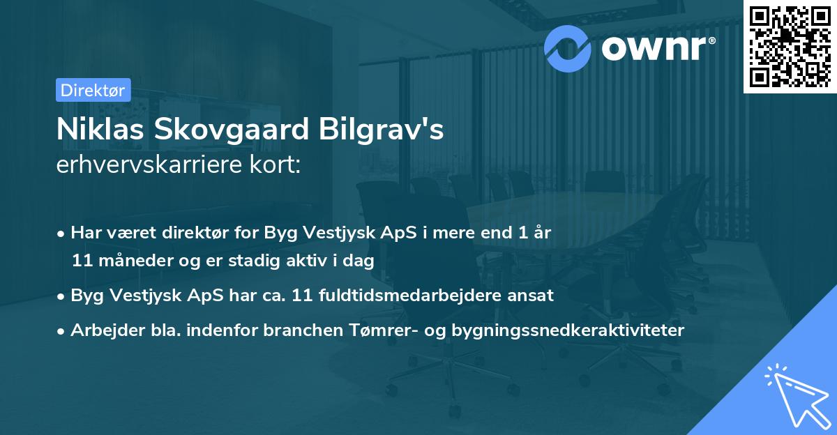 Niklas Skovgaard Bilgrav's erhvervskarriere kort