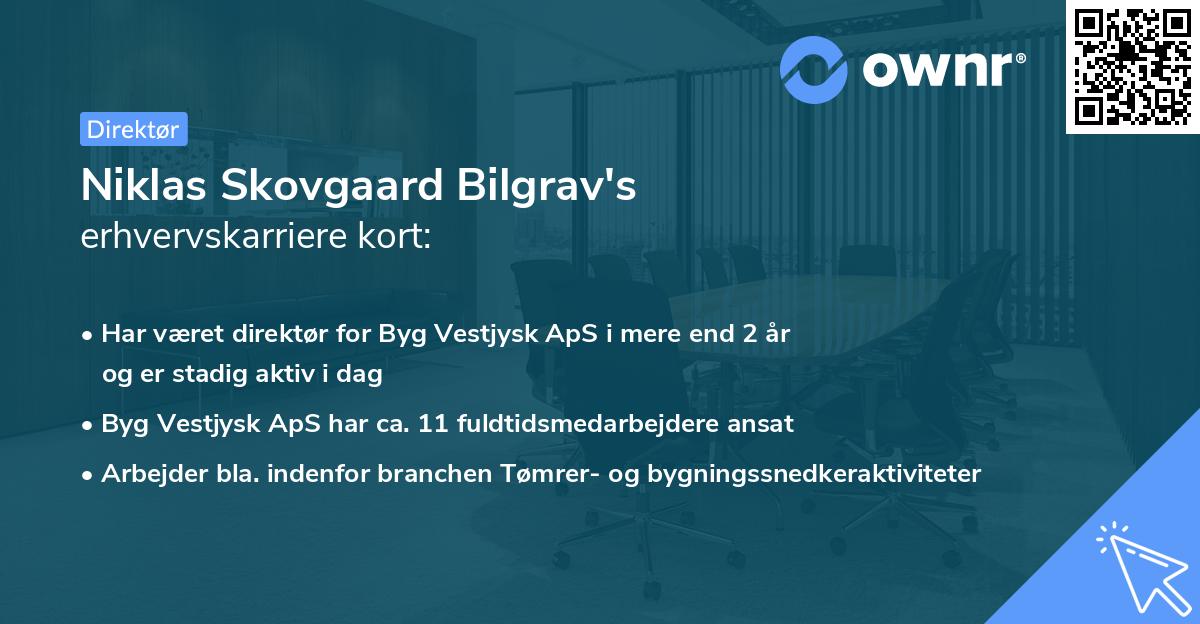 Niklas Skovgaard Bilgrav's erhvervskarriere kort