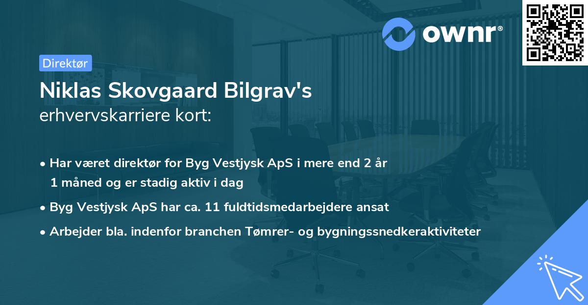 Niklas Skovgaard Bilgrav's erhvervskarriere kort