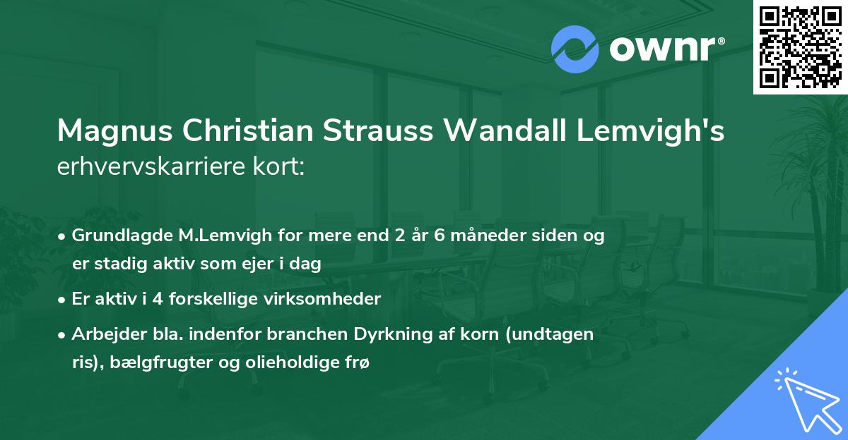 Magnus Christian Strauss Wandall Lemvigh's erhvervskarriere kort