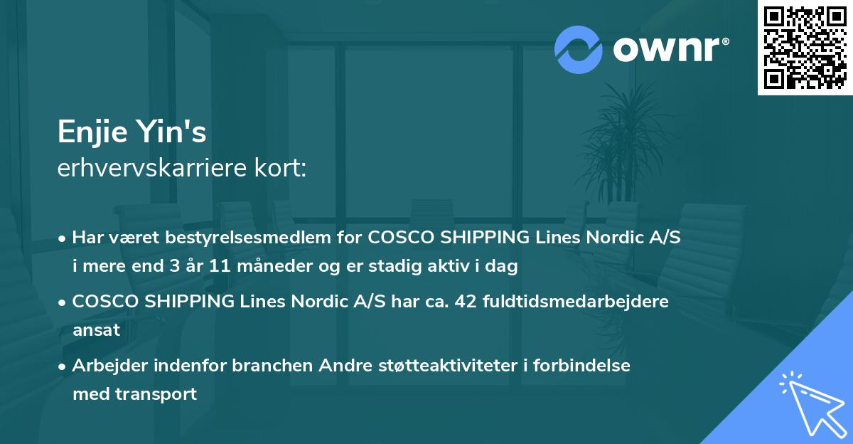 Enjie Yin's erhvervskarriere kort