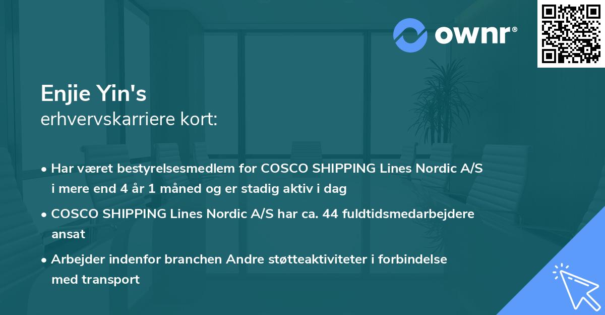 Enjie Yin's erhvervskarriere kort