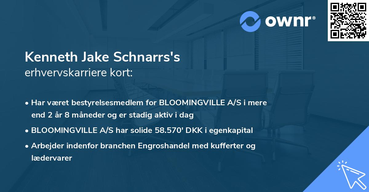 Kenneth Jake Schnarrs's erhvervskarriere kort