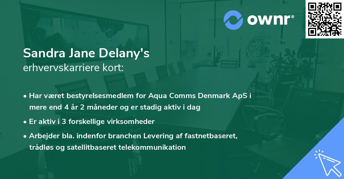 Sandra Jane Delany's erhvervskarriere kort