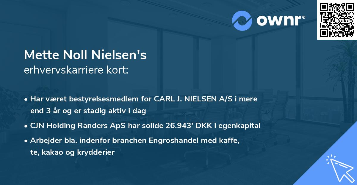 Mette Noll Nielsen's erhvervskarriere kort