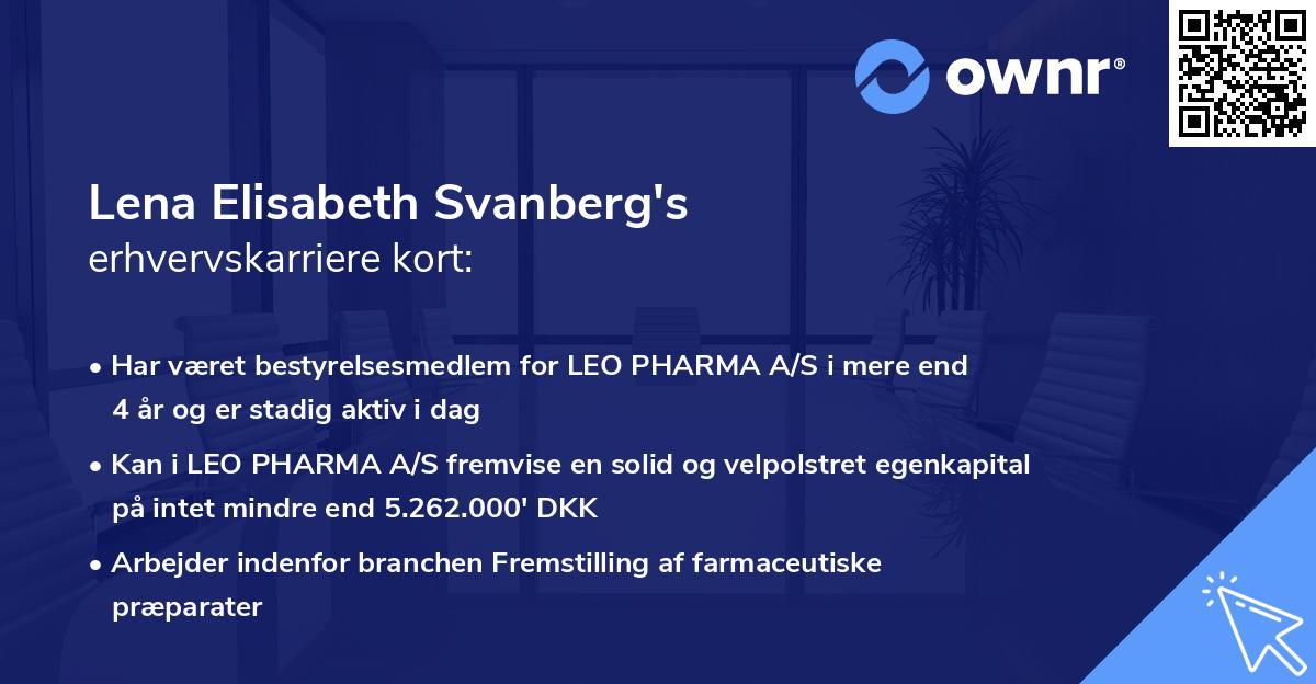 Lena Elisabeth Svanberg's erhvervskarriere kort