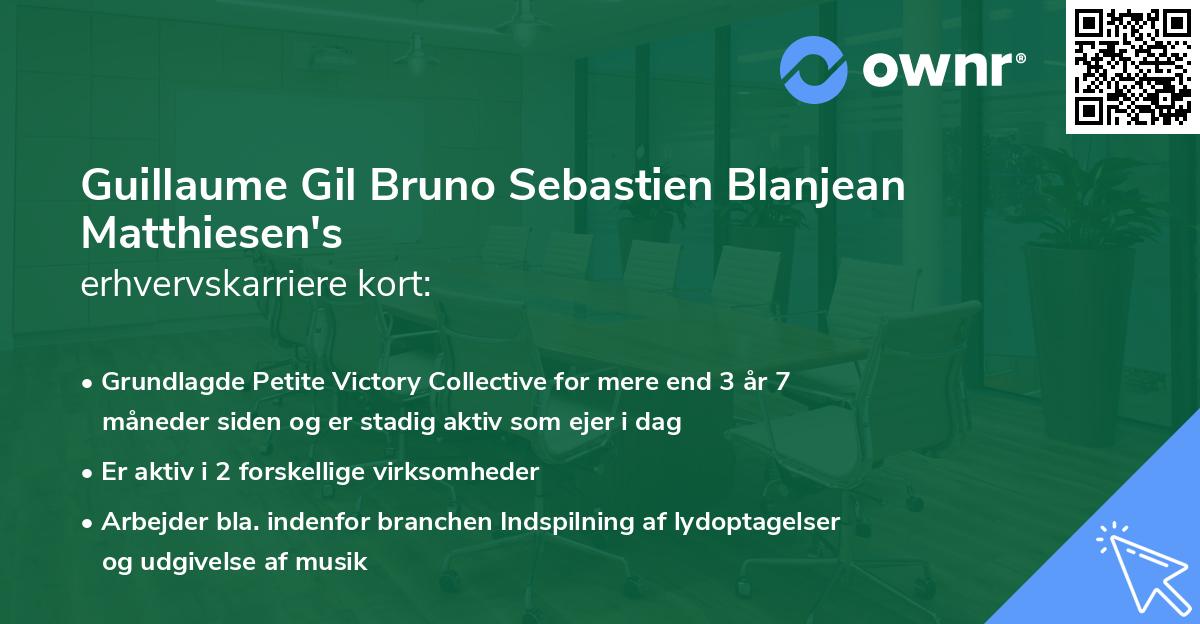 Guillaume Gil Bruno Sebastien Blanjean Matthiesen's erhvervskarriere kort