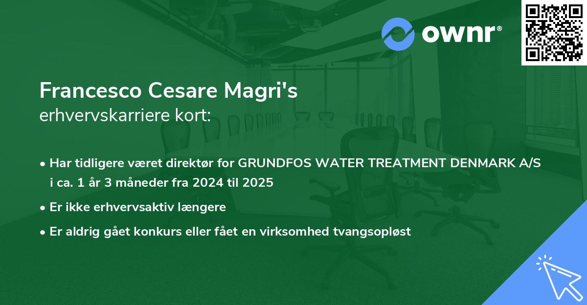 Francesco Cesare Magri's erhvervskarriere kort