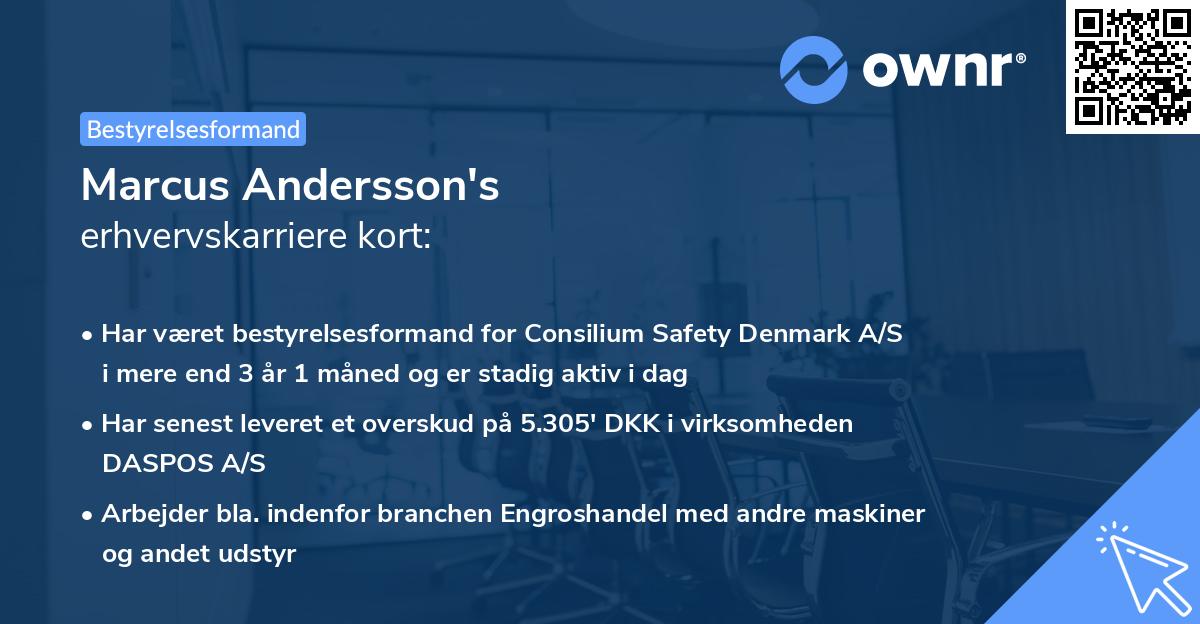 Marcus Andersson's erhvervskarriere kort