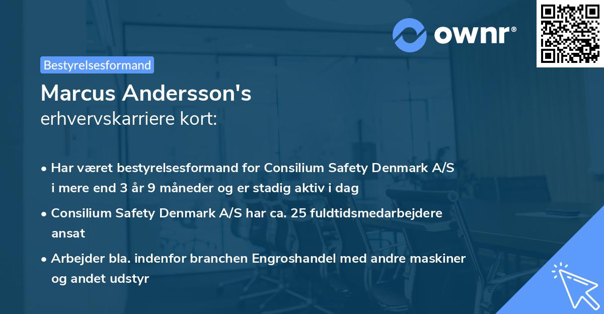 Marcus Andersson's erhvervskarriere kort
