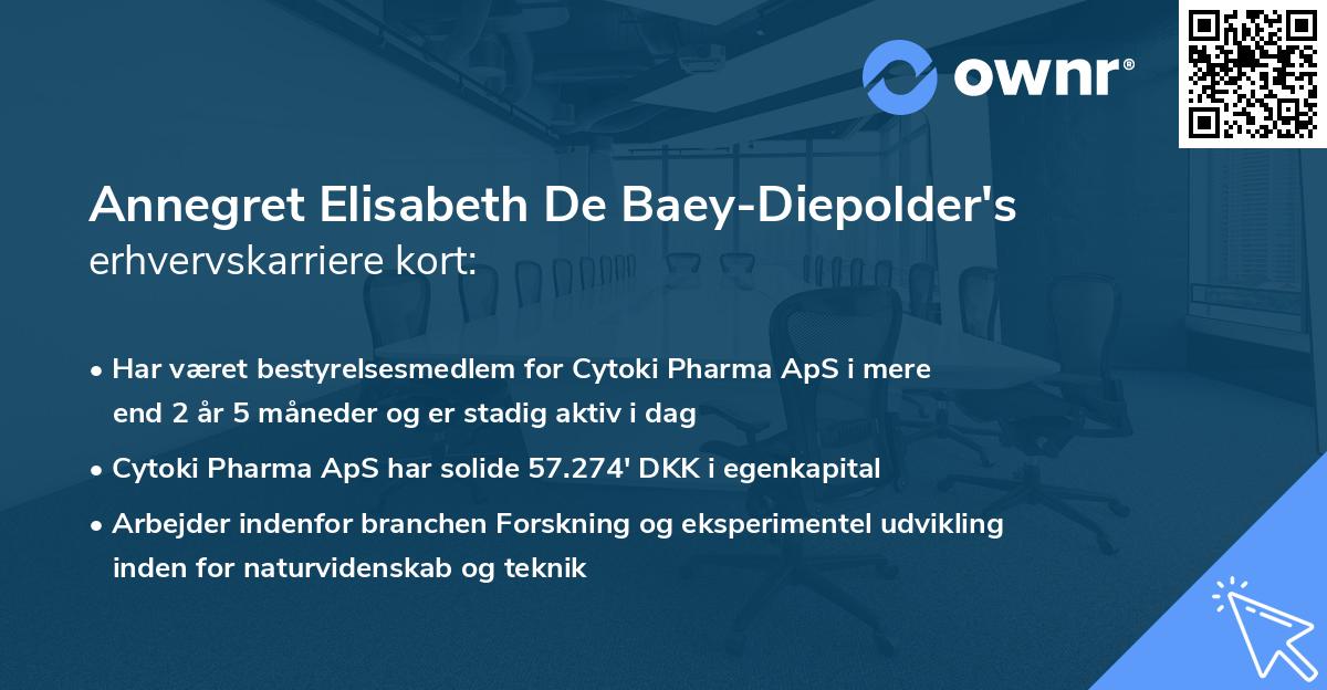 Annegret Elisabeth De Baey-Diepolder's erhvervskarriere kort