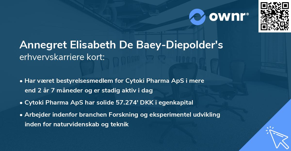 Annegret Elisabeth De Baey-Diepolder's erhvervskarriere kort