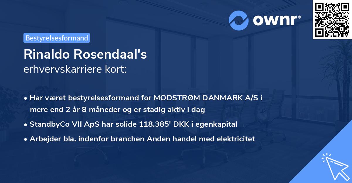 Rinaldo Rosendaal's erhvervskarriere kort