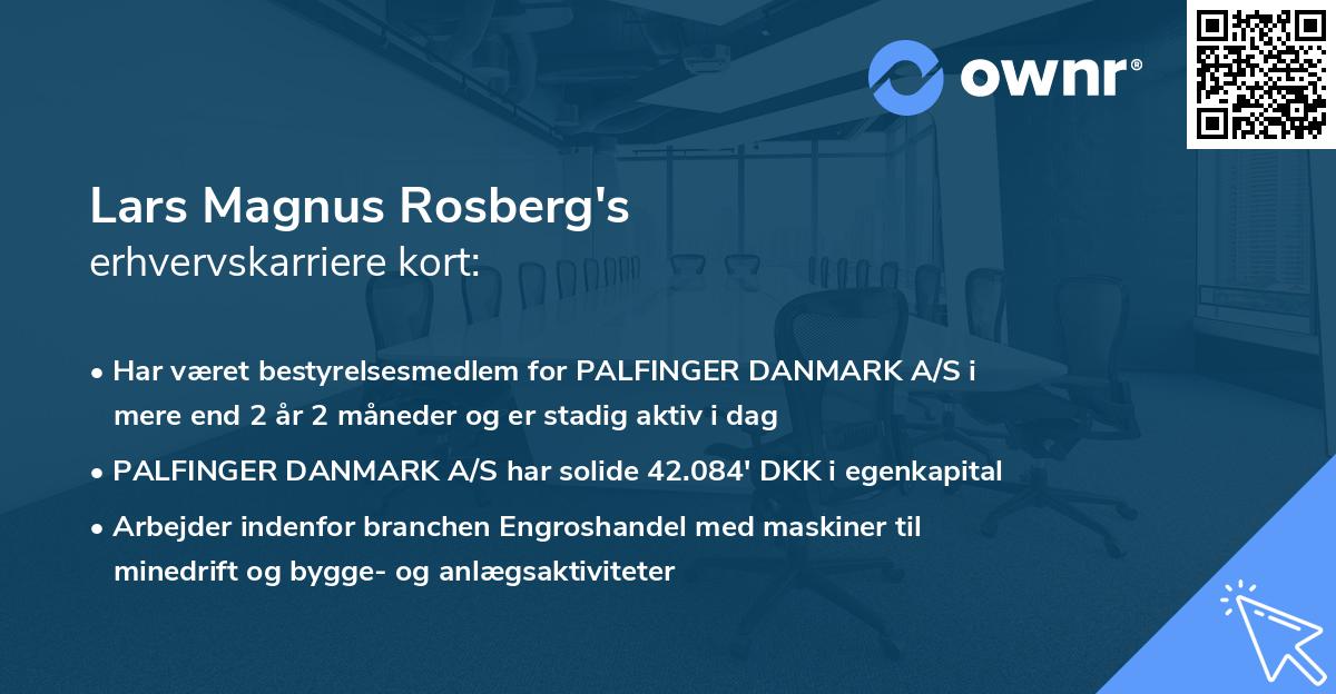 Lars Magnus Rosberg's erhvervskarriere kort