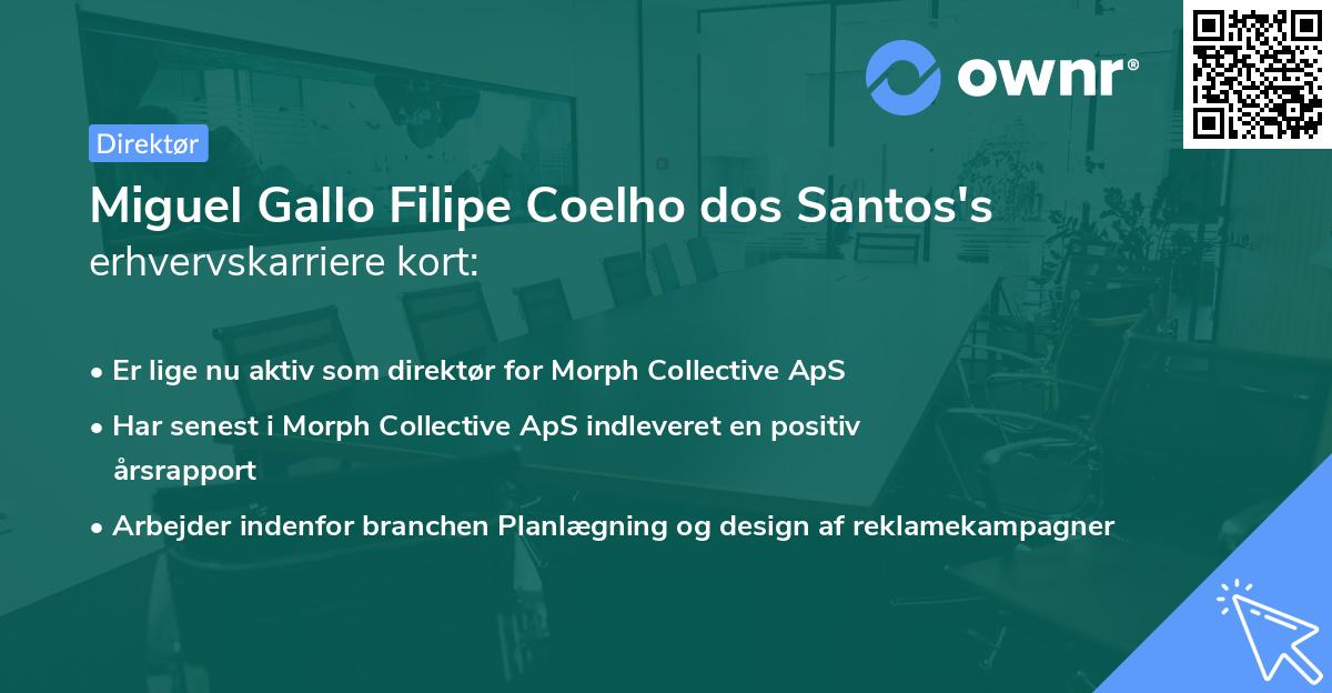 Miguel Gallo Filipe Coelho dos Santos's erhvervskarriere kort