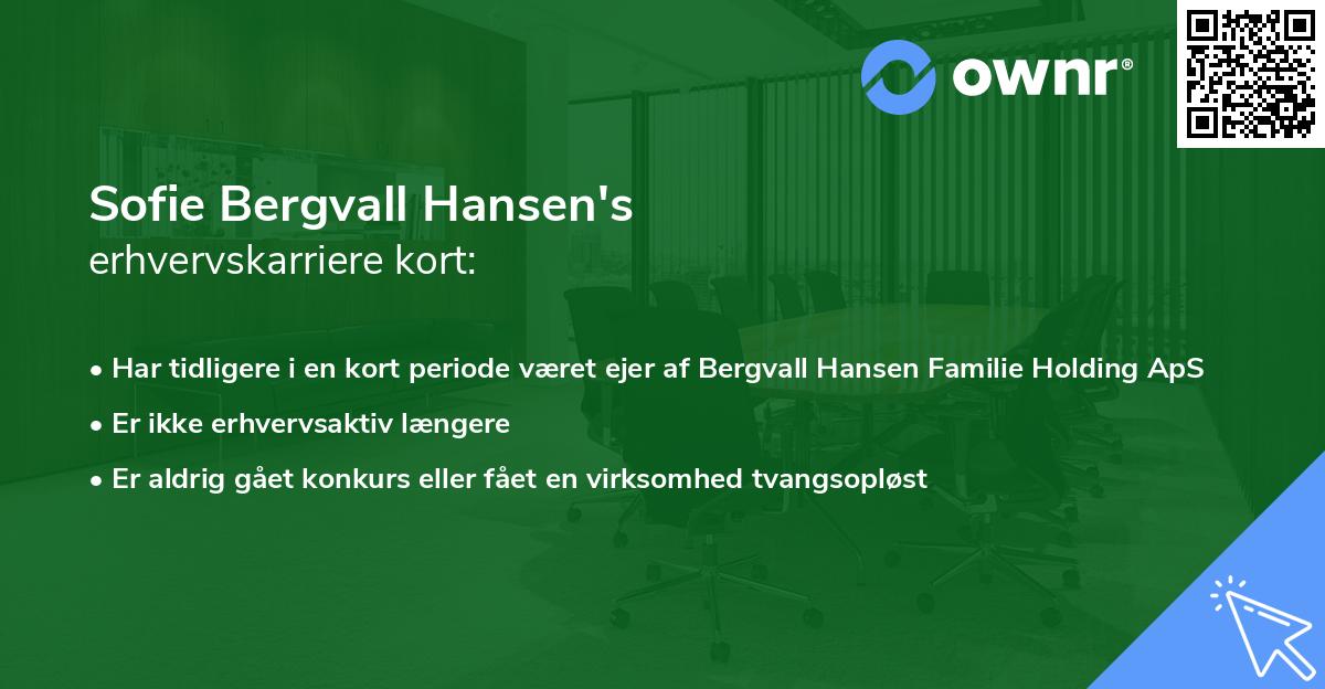 Sofie Bergvall Hansen's erhvervskarriere kort