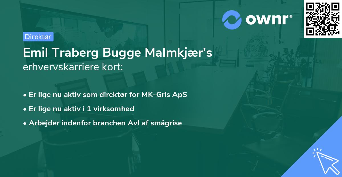 Emil Traberg Bugge Malmkjær's erhvervskarriere kort