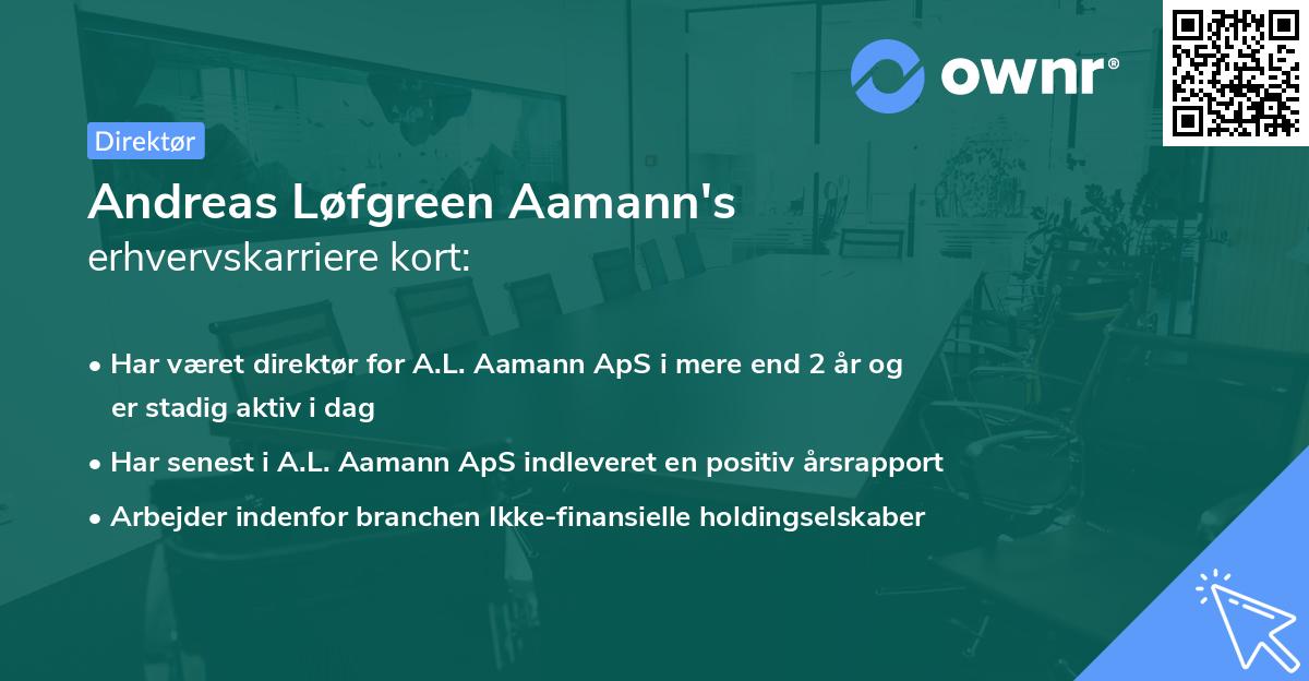 Andreas Løfgreen Aamann's erhvervskarriere kort