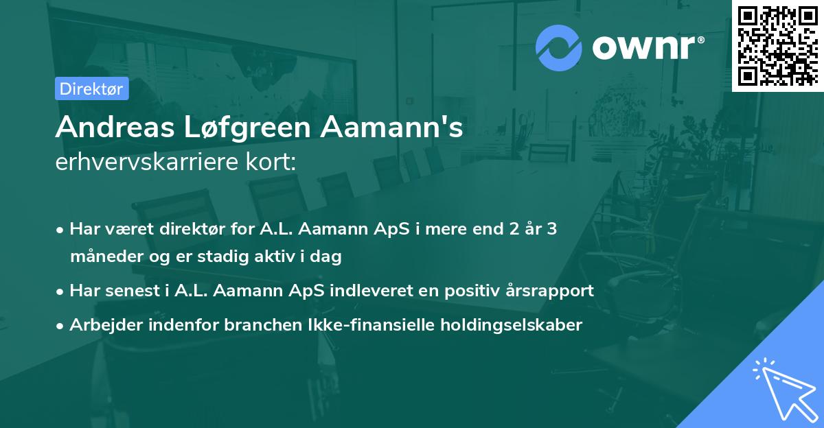 Andreas Løfgreen Aamann's erhvervskarriere kort