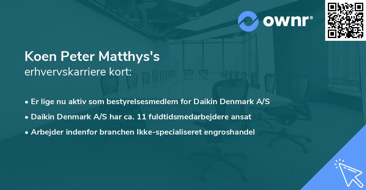 Koen Peter Matthys's erhvervskarriere kort