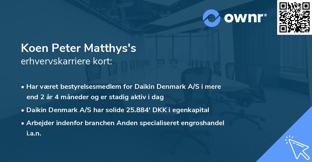 Koen Peter Matthys's erhvervskarriere kort