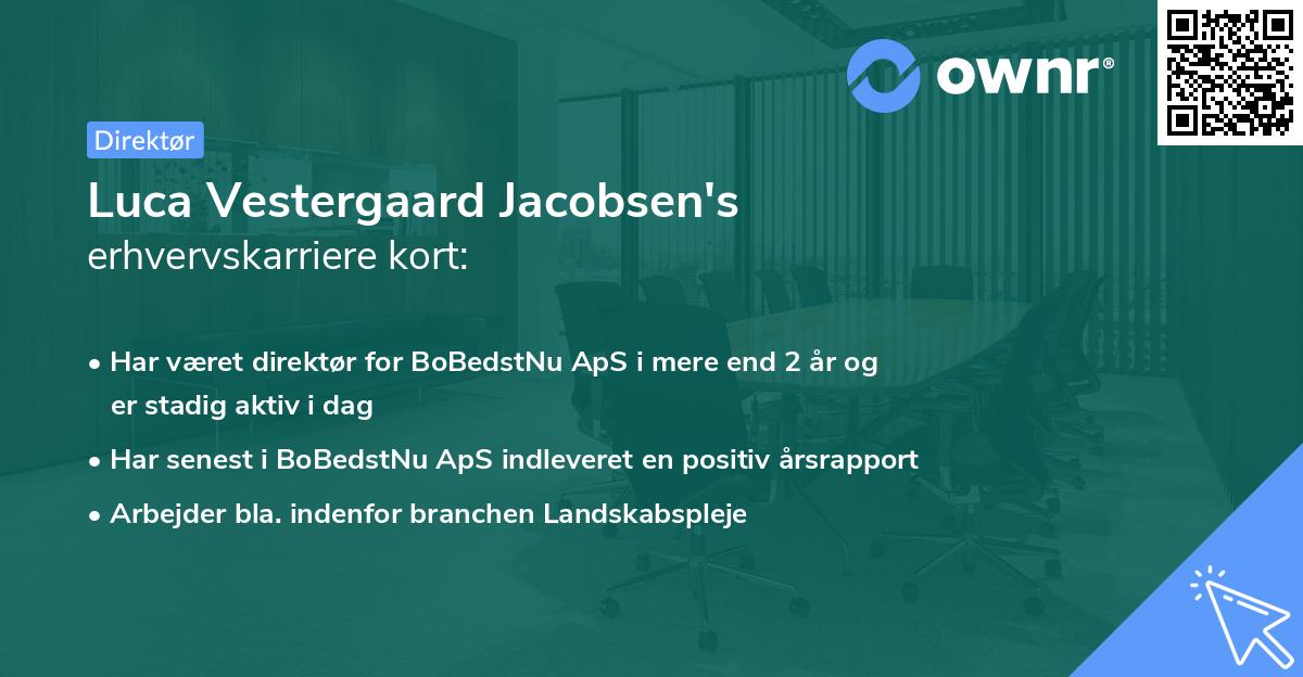 Luca Vestergaard Jacobsen's erhvervskarriere kort