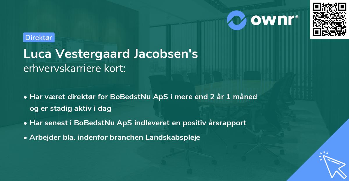Luca Vestergaard Jacobsen's erhvervskarriere kort