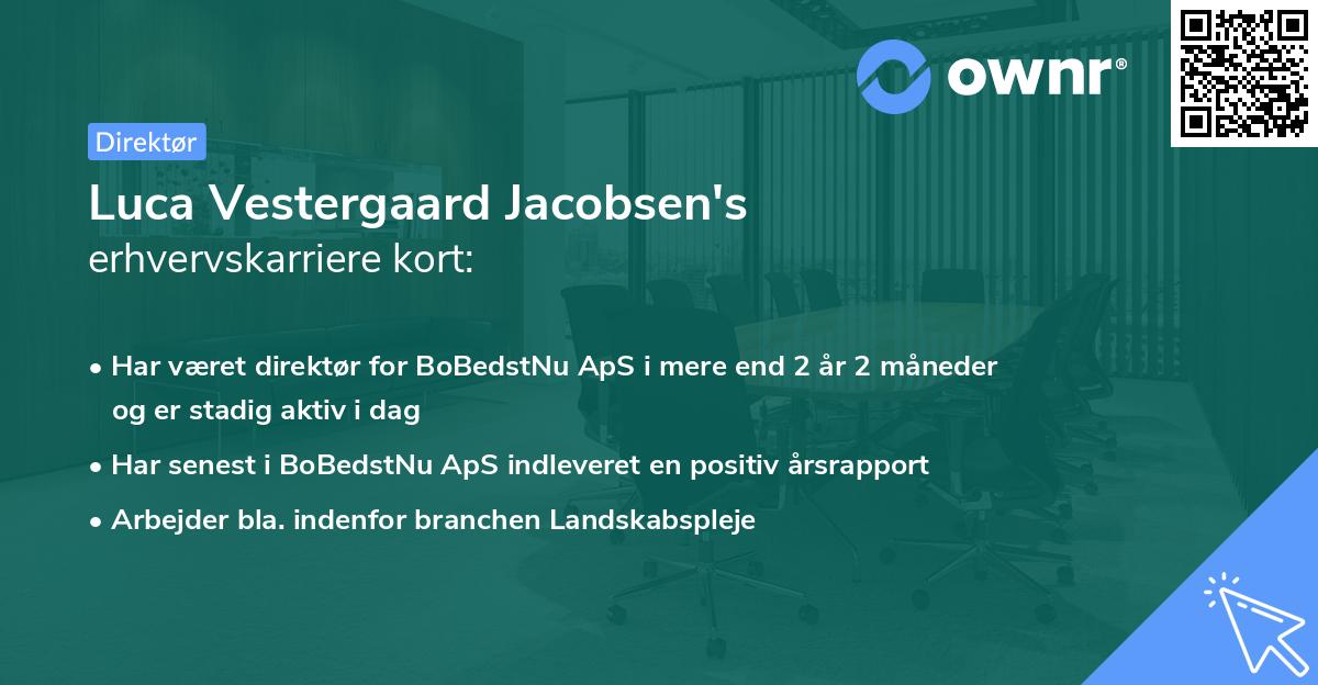 Luca Vestergaard Jacobsen's erhvervskarriere kort