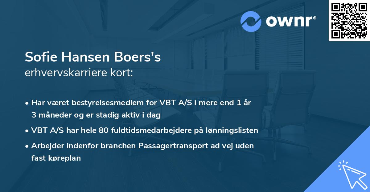 Sofie Hansen Boers's erhvervskarriere kort