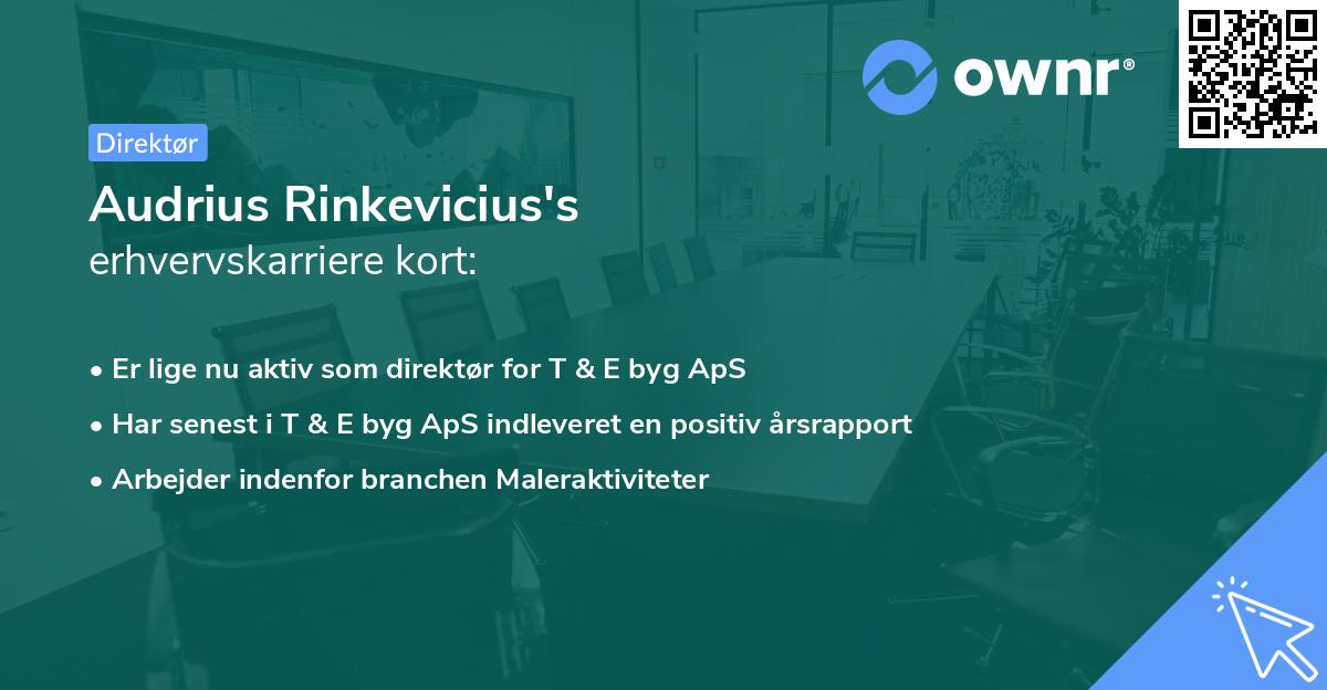 Audrius Rinkevicius's erhvervskarriere kort