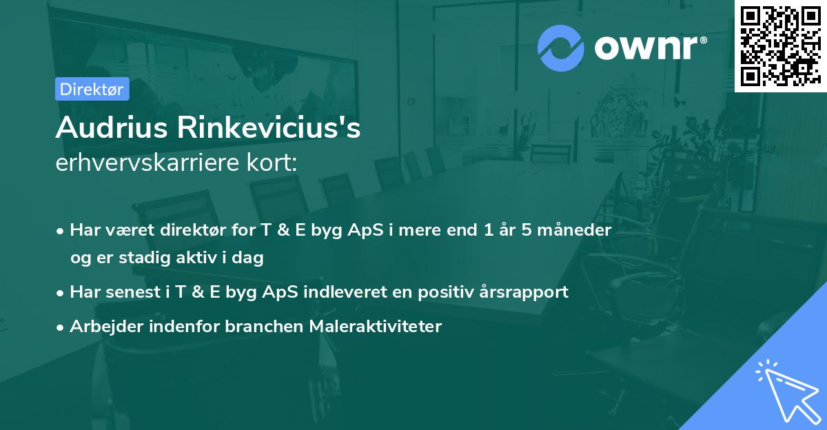 Audrius Rinkevicius's erhvervskarriere kort
